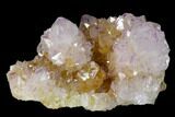 Cactus Quartz (Amethyst) Crystal Cluster - South Africa #137772-1